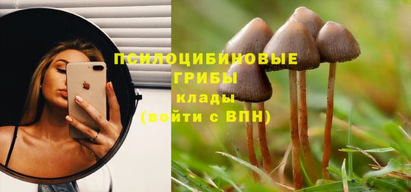 стаф Нея