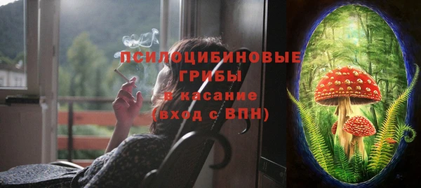 крисы Нефтегорск
