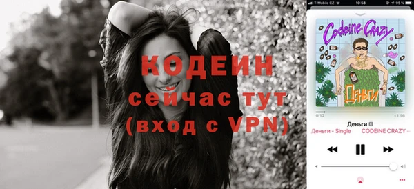 молекула духа Надым