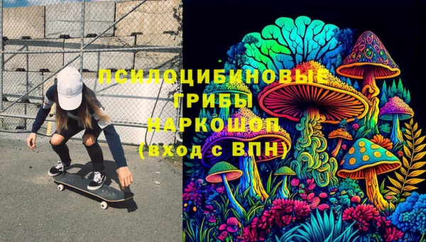 молекула духа Надым