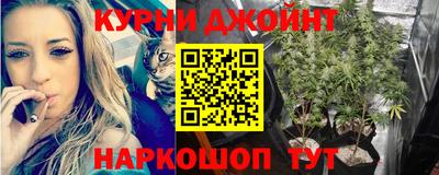 a pvp Ирбит
