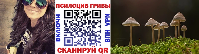 Псилоцибиновые грибы прущие грибы  Малгобек 