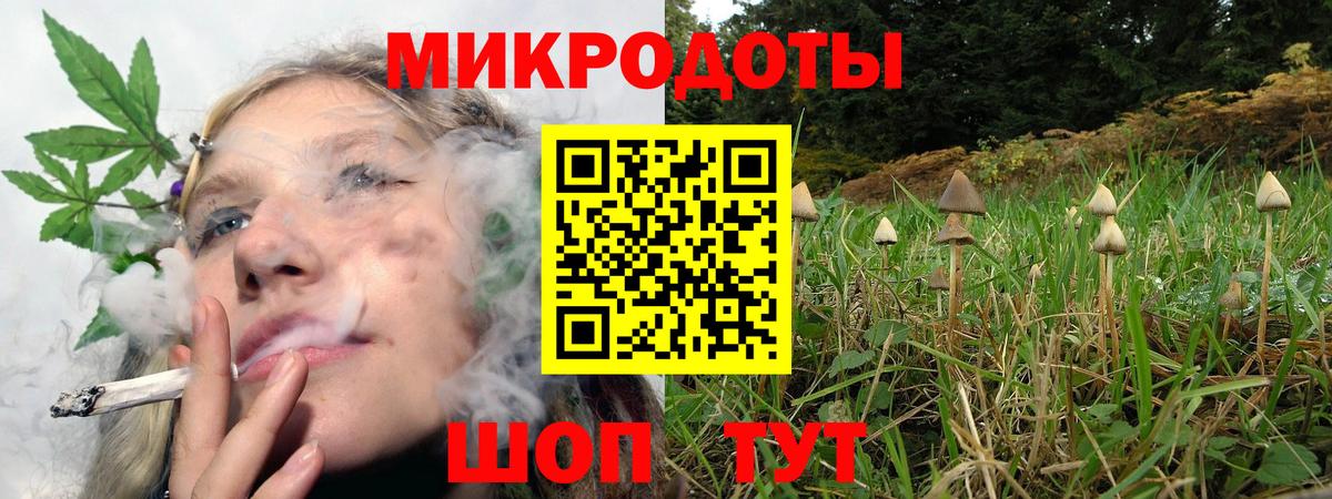 Галлюциногенные грибы Cubensis  Малгобек 
