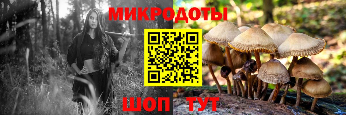 Галлюциногенные грибы GOLDEN TEACHER  Вход с VPN  Малгобек  Псилоцибиновые грибы MAGIC MUSHROOMS 